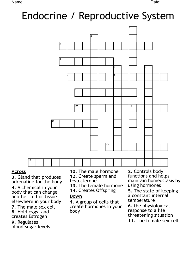 Endocrine / Reproductive System  Crossword