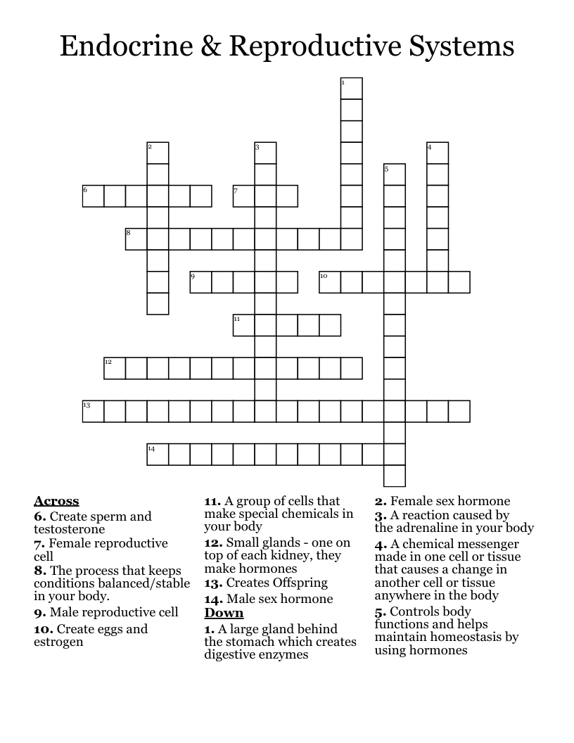 Endocrine & Reproductive Systems Crossword