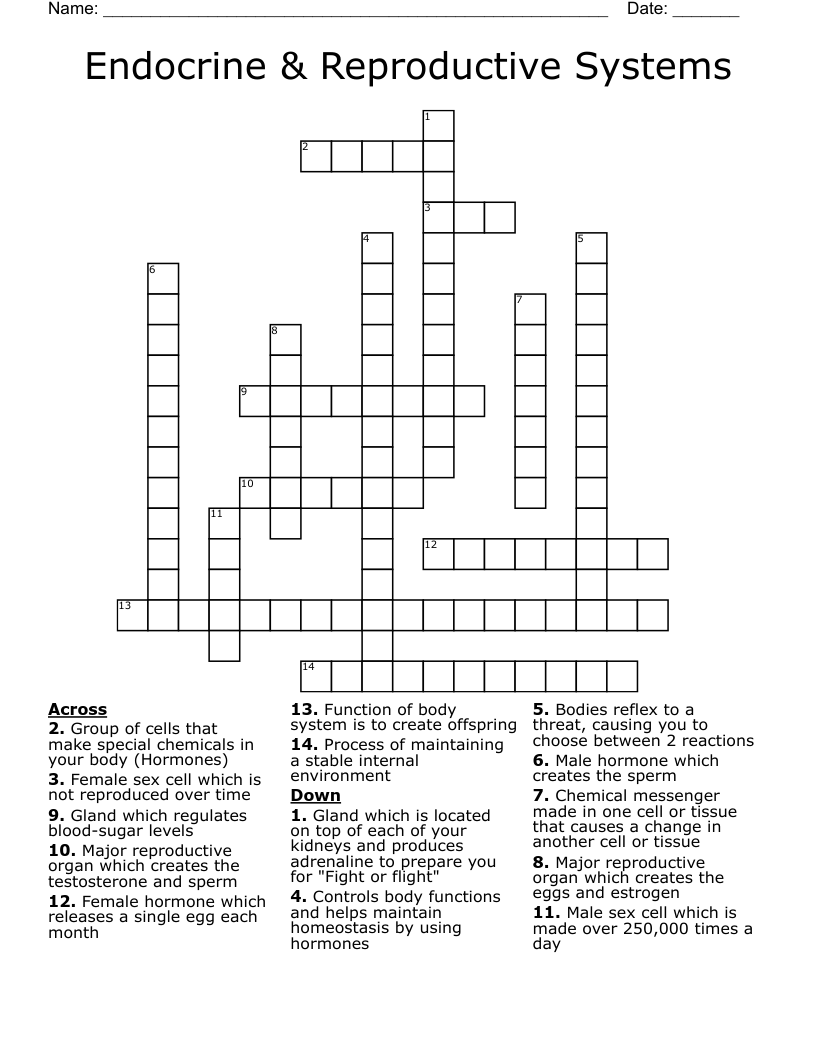 Endocrine & Reproductive Systems Crossword