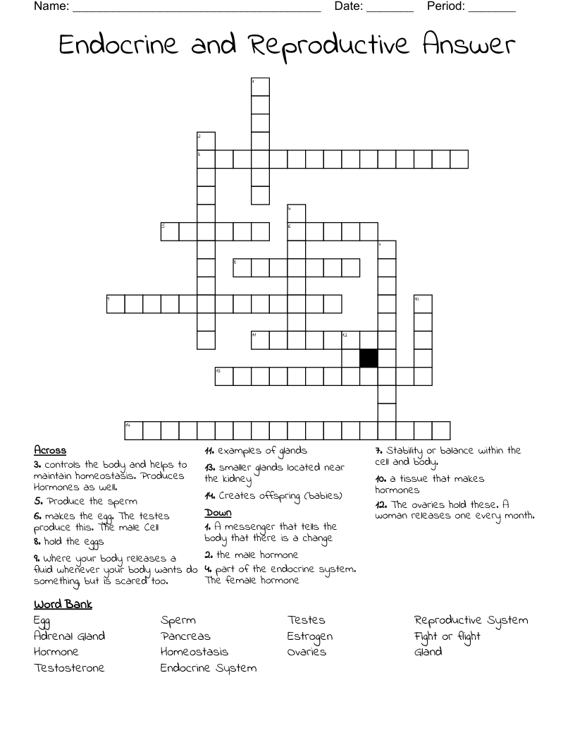 Endocrine and Reproductive Answer