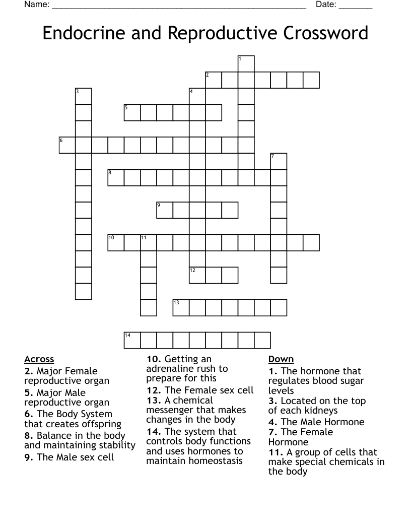 Endocrine and Reproductive Crossword