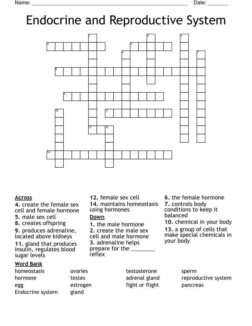 Endocrine and Reproductive System Crossword