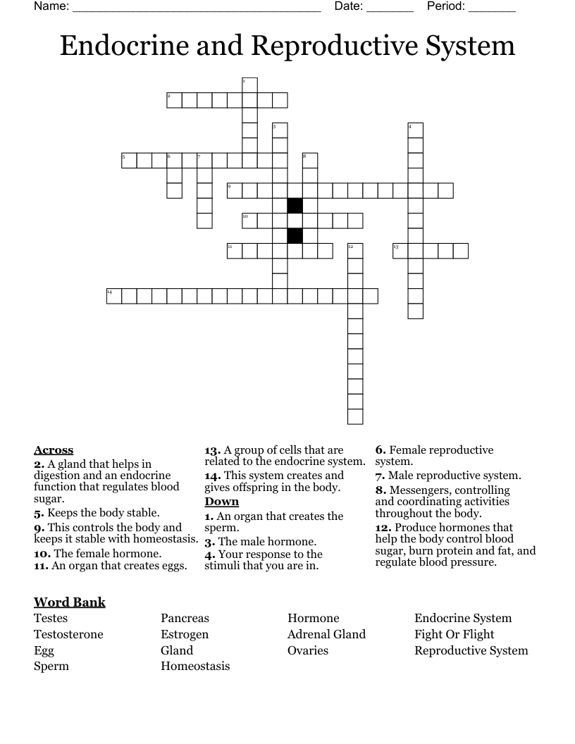 Endocrine and Reproductive System Crossword