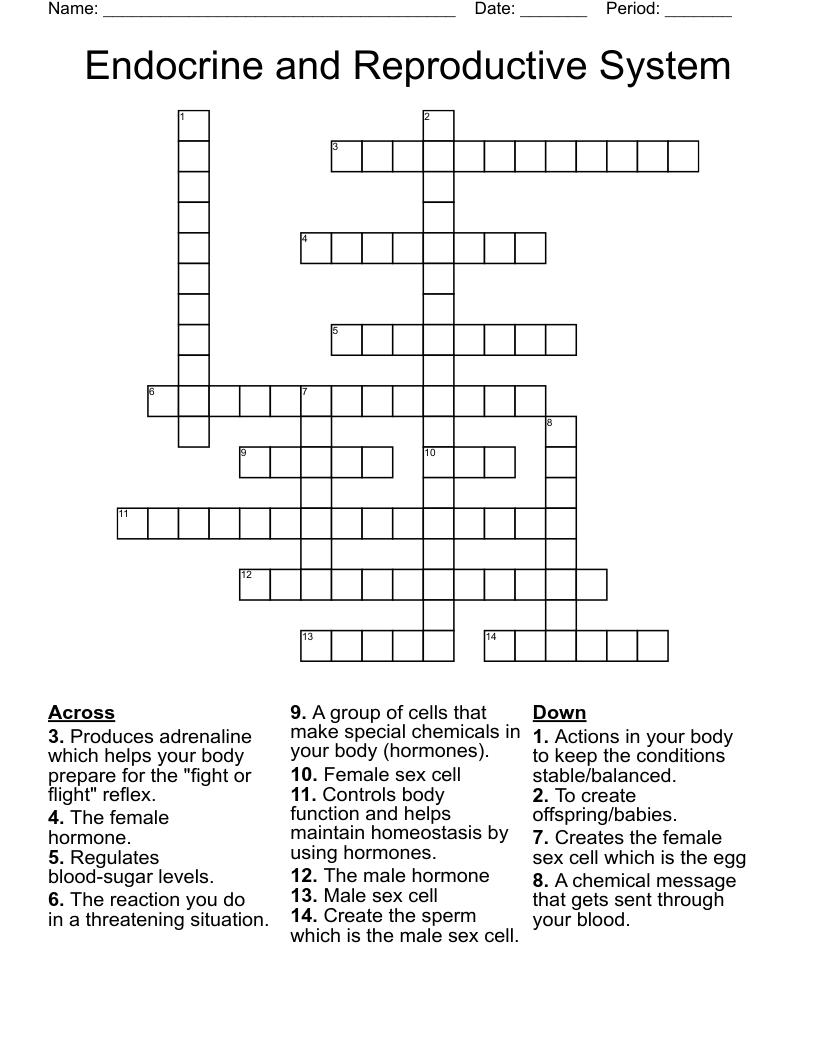 Endocrine and Reproductive System Crossword