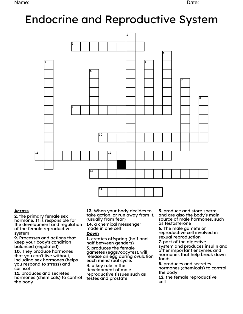 Endocrine and Reproductive System Crossword