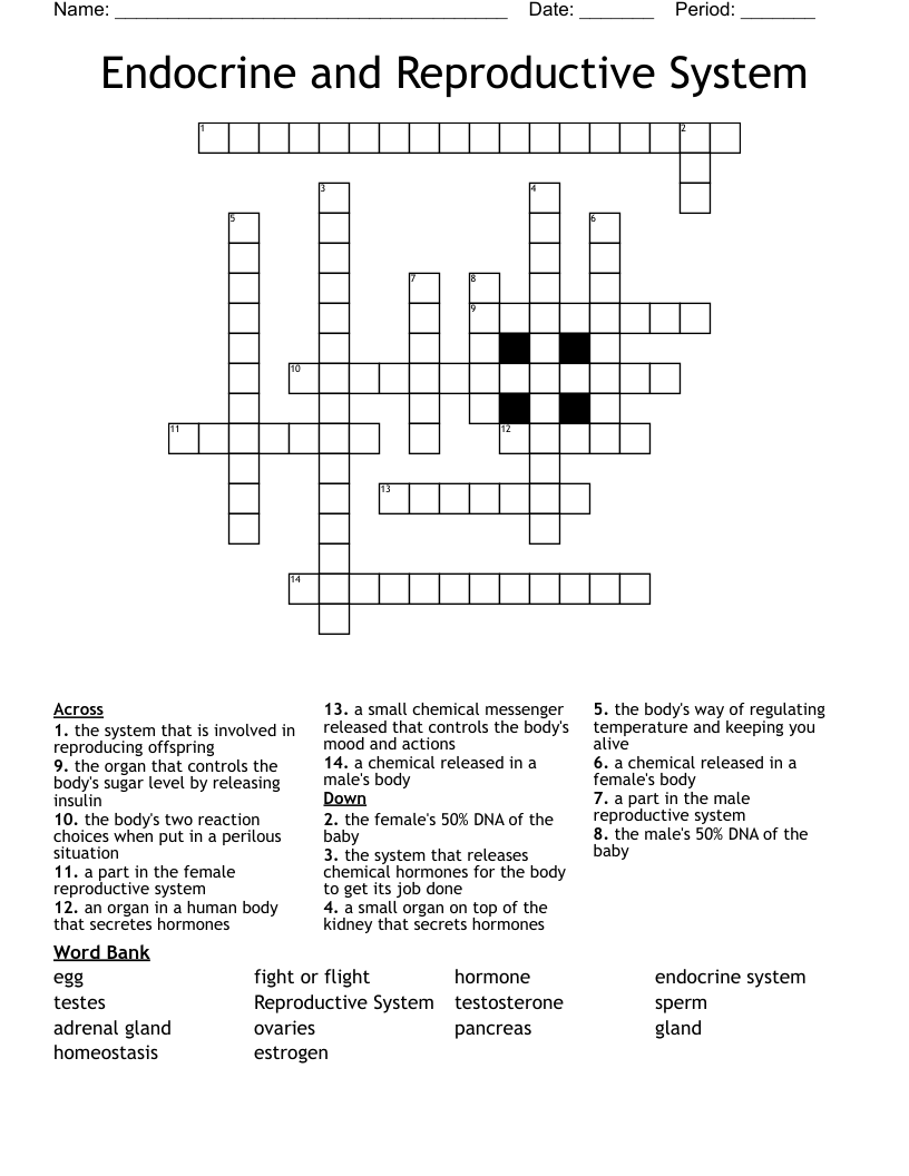 Endocrine and Reproductive System  Crossword