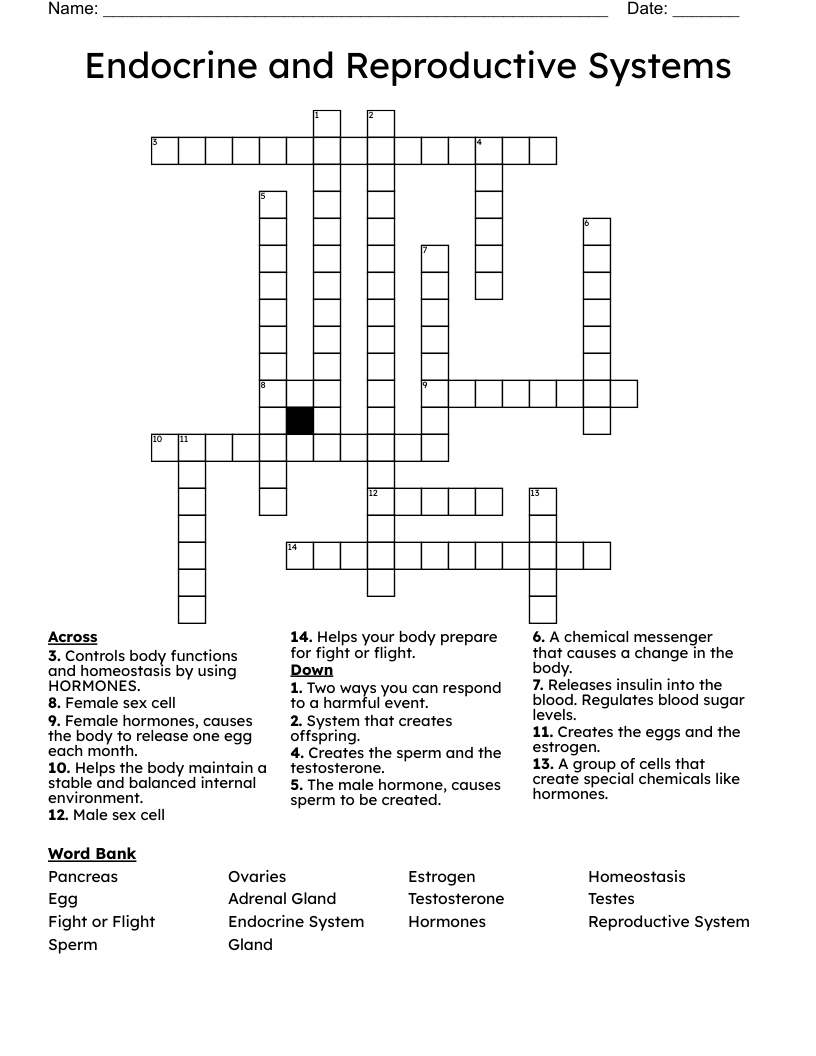 Endocrine and Reproductive Systems Crossword