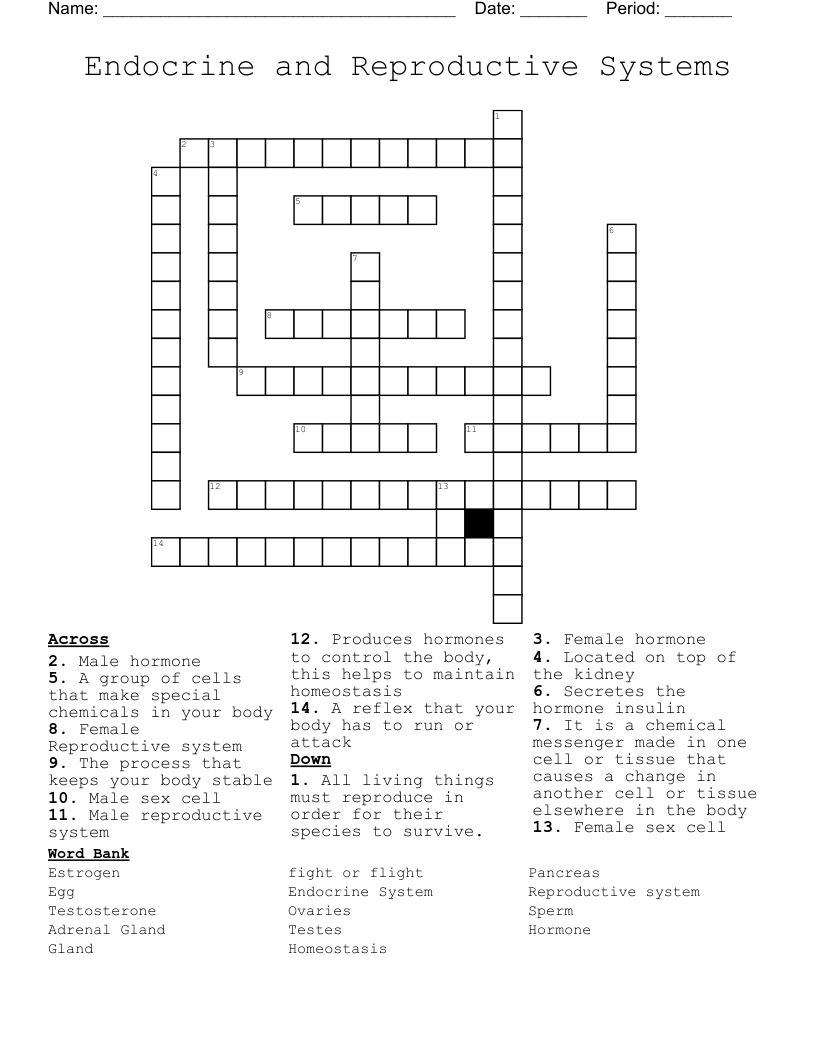 Endocrine and Reproductive Systems Crossword