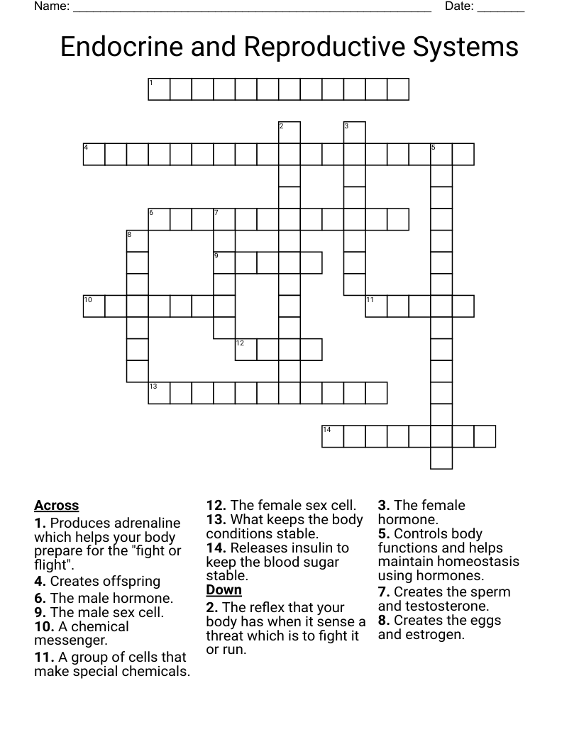 Endocrine and Reproductive Systems Crossword