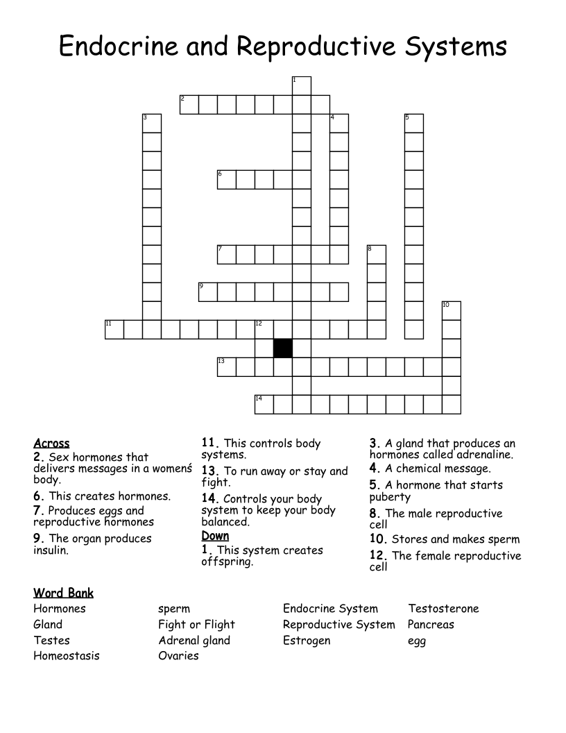 Endocrine and Reproductive Systems Crossword