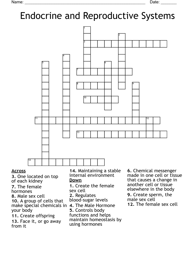 Endocrine and Reproductive Systems Crossword