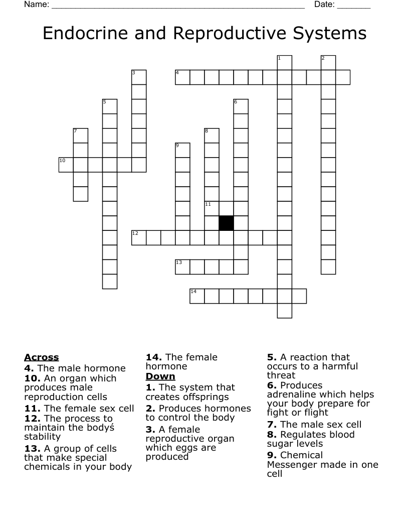 Endocrine and Reproductive Systems Crossword