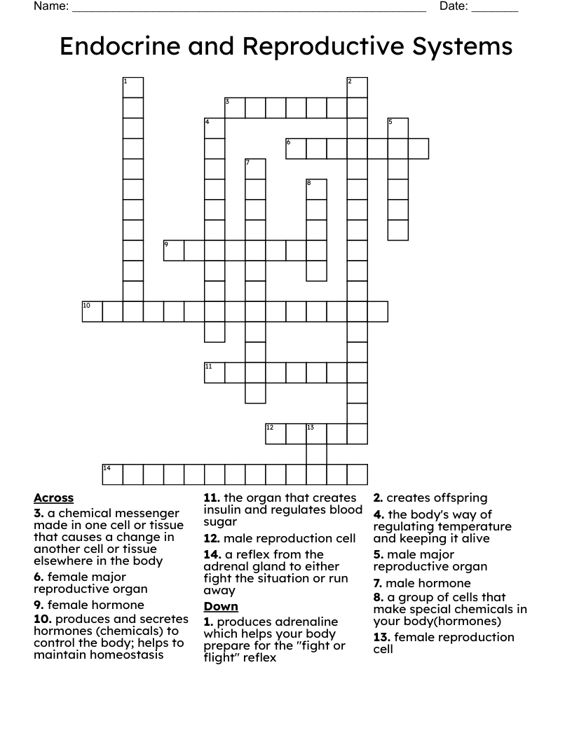 Endocrine and Reproductive Systems Crossword
