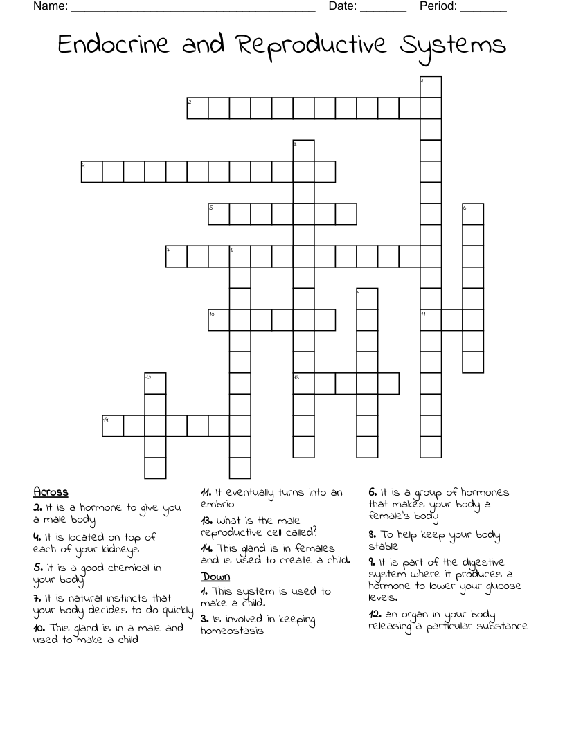 Endocrine and Reproductive Systems Crossword