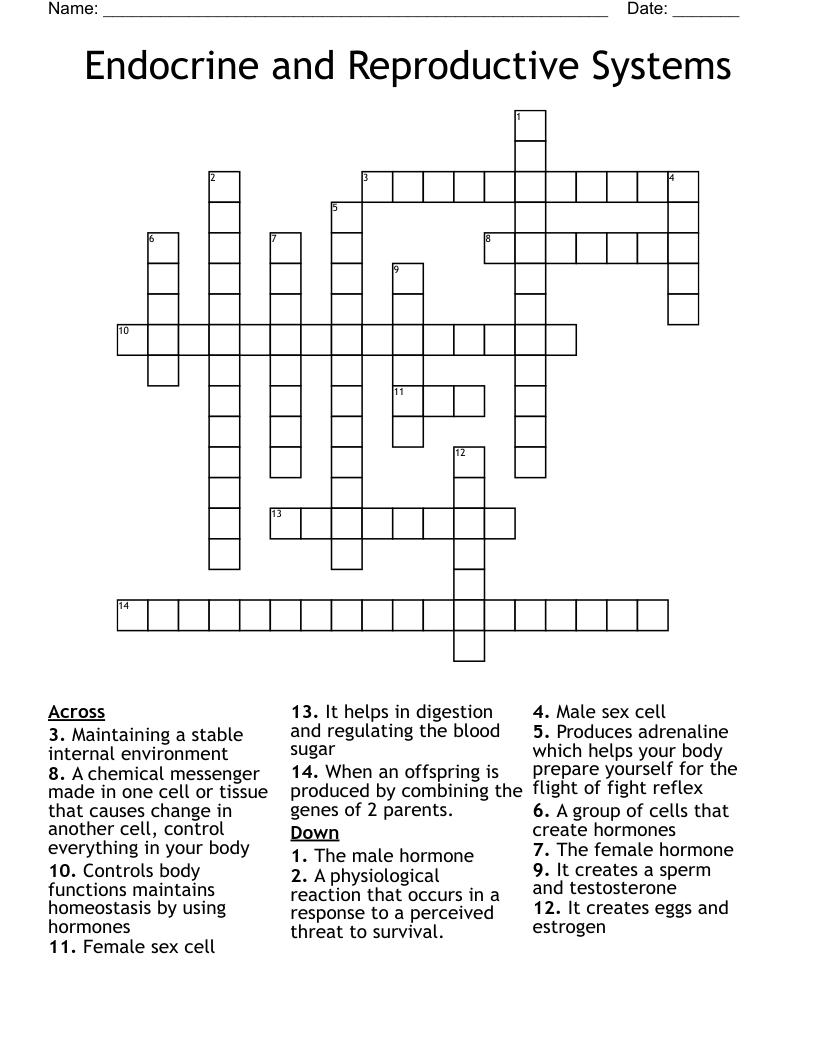 Endocrine and Reproductive Systems Crossword