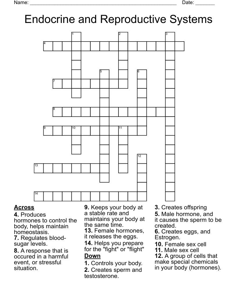 Endocrine and Reproductive Systems Crossword