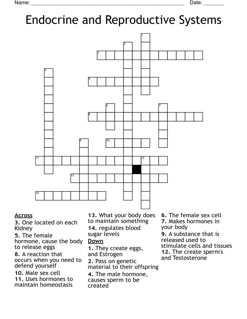 Endocrine and Reproductive Systems Crossword