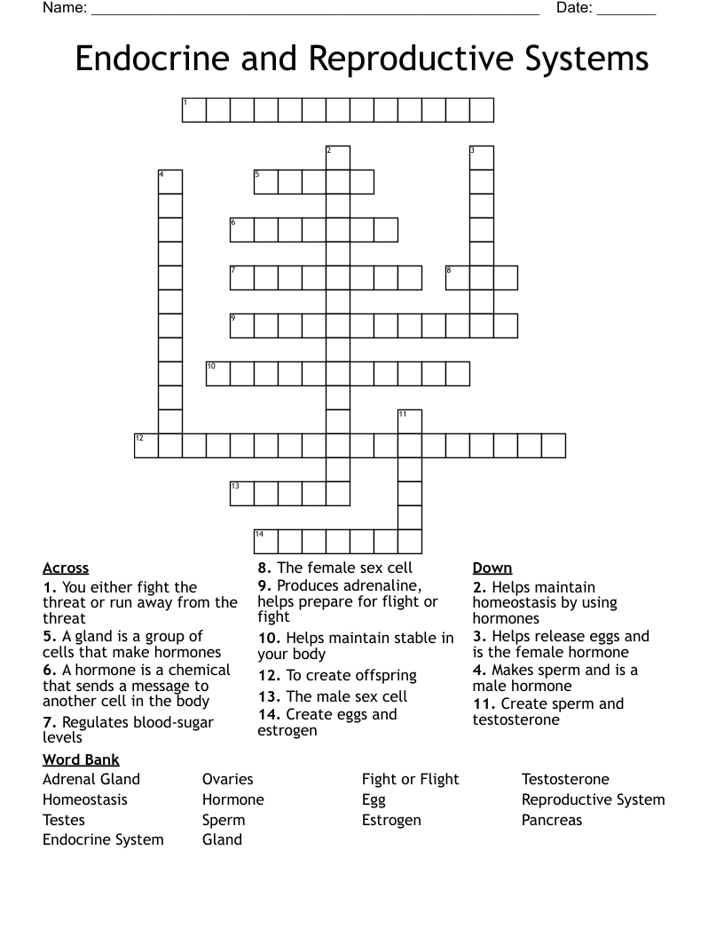 Endocrine and Reproductive Systems Crossword