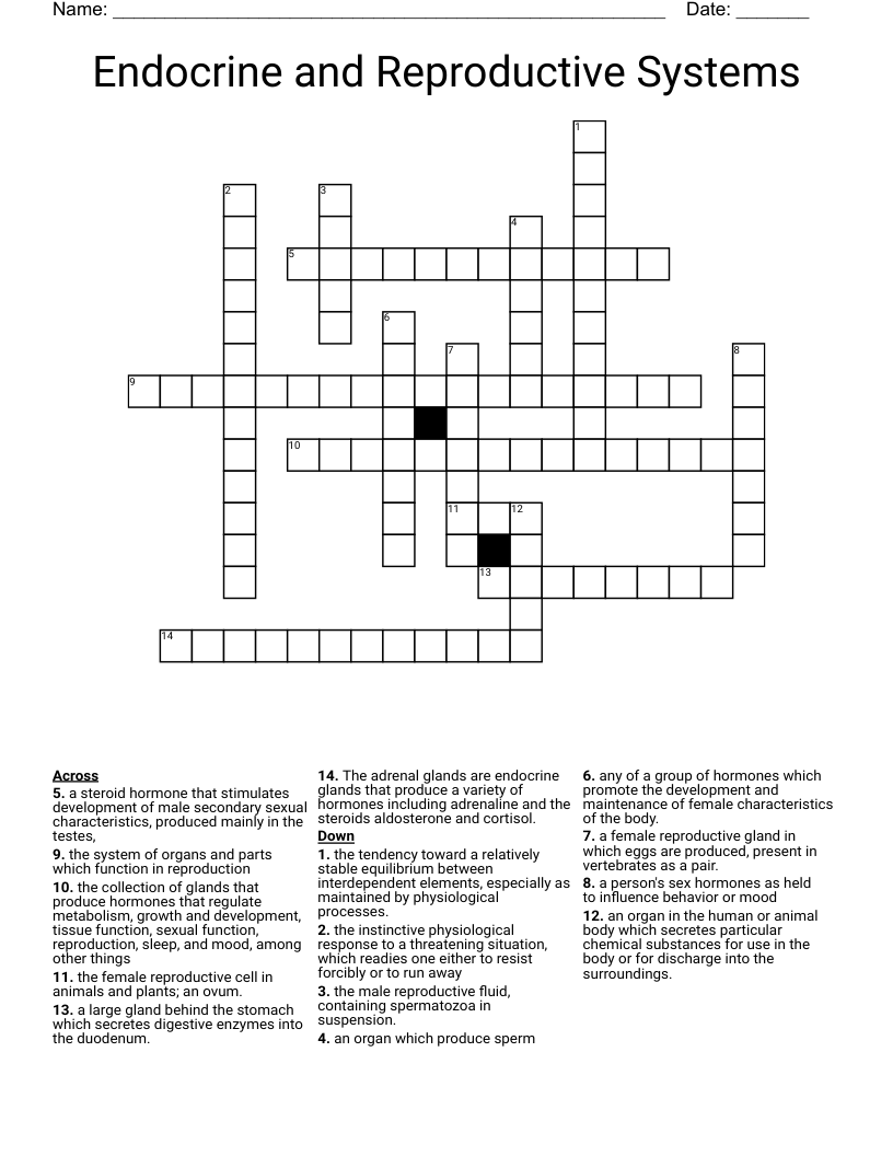 Endocrine and Reproductive Systems Crossword