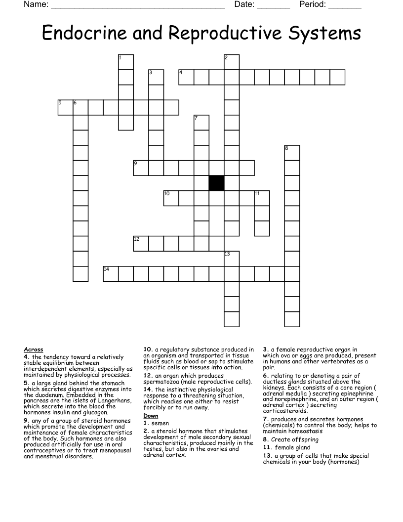 Endocrine and Reproductive Systems Crossword