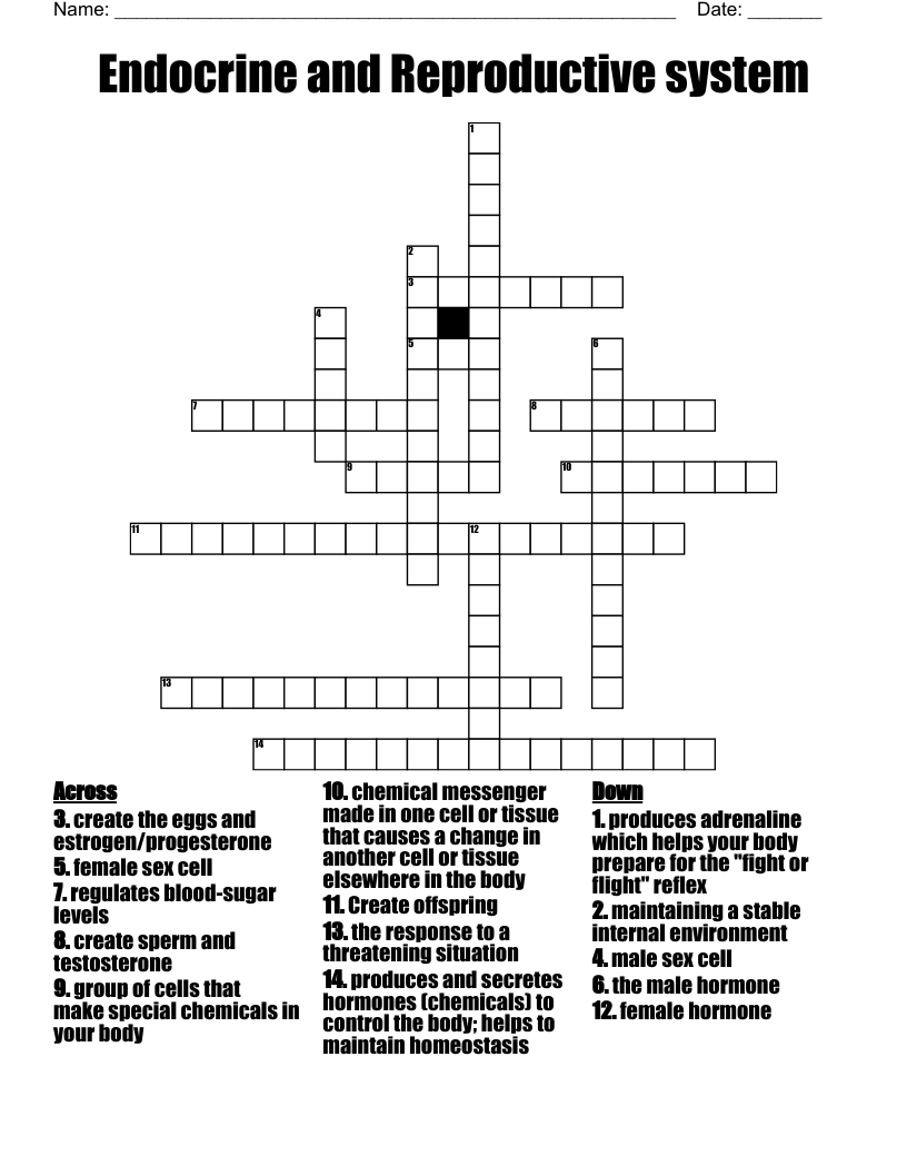 Endocrine and Reproductive system  Crossword