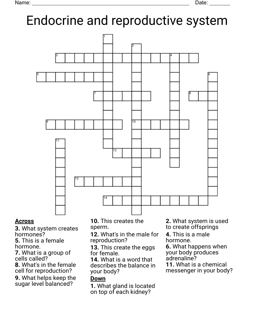 Endocrine and reproductive system Crossword
