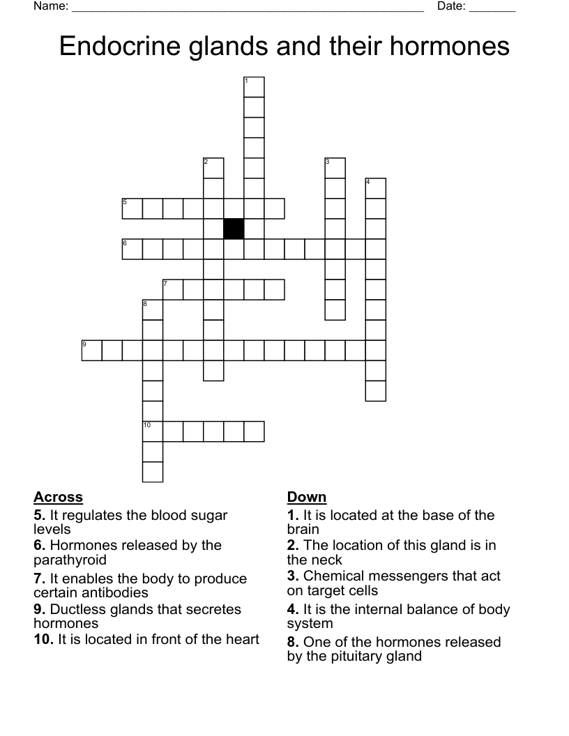 Endocrine glands and their hormones Crossword