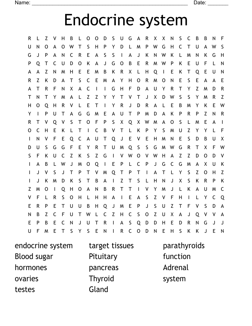Endocrine system Word Search