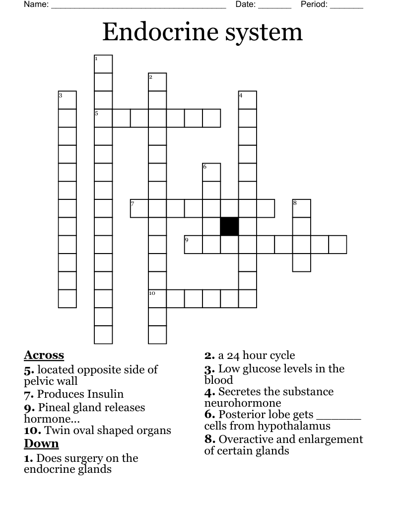 Endocrine system Crossword