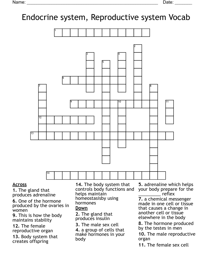 Endocrine system, Reproductive system Vocab Crossword