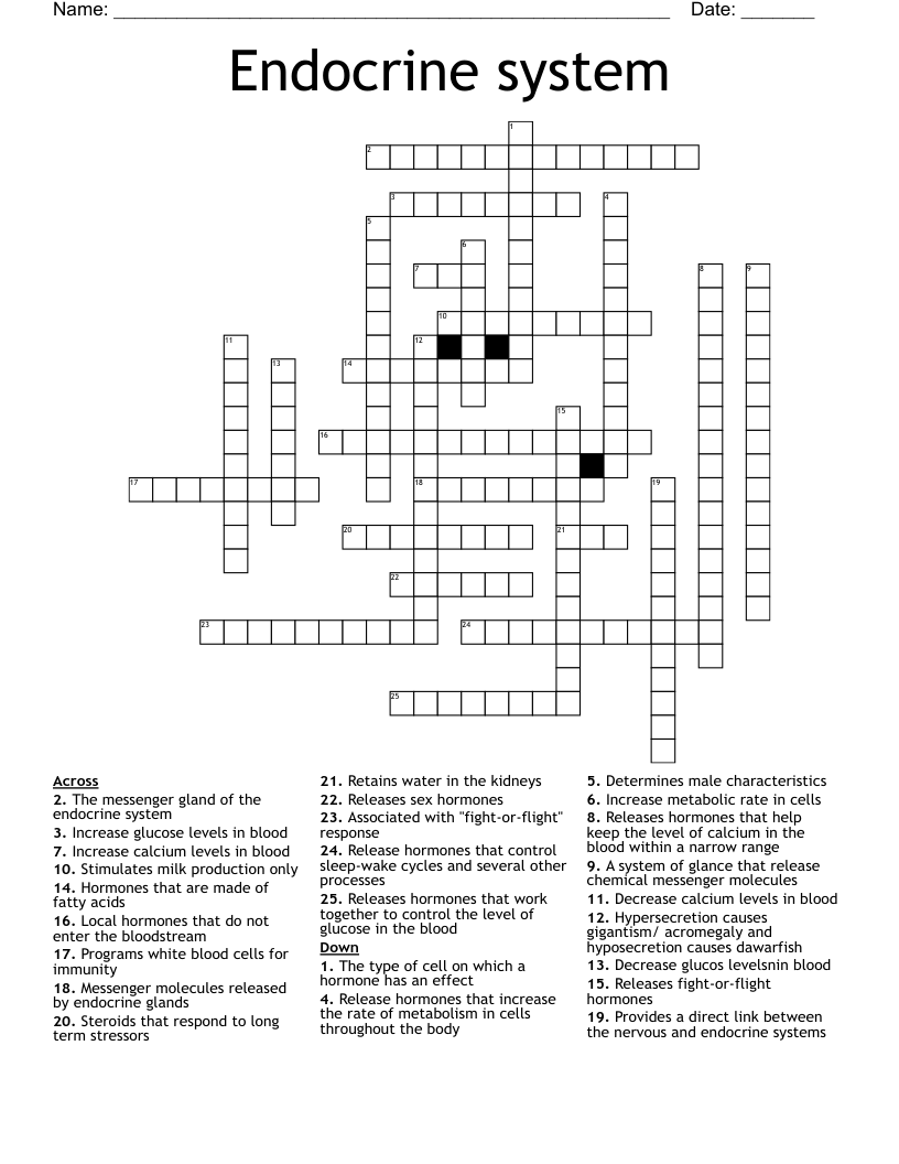 Endocrine system  Crossword