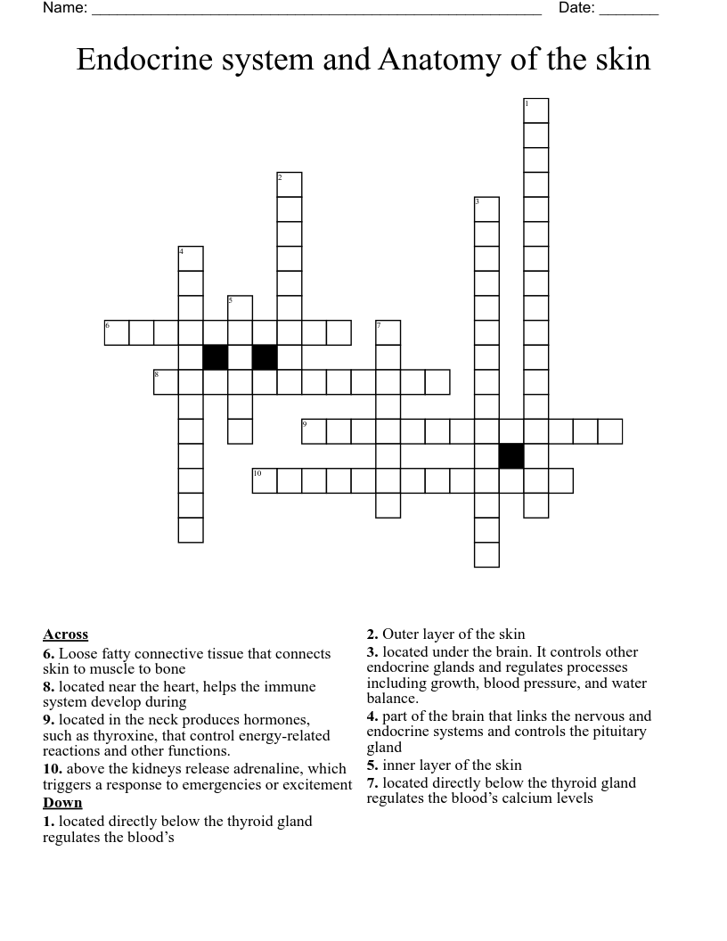 Endocrine system and Anatomy of the skin Crossword