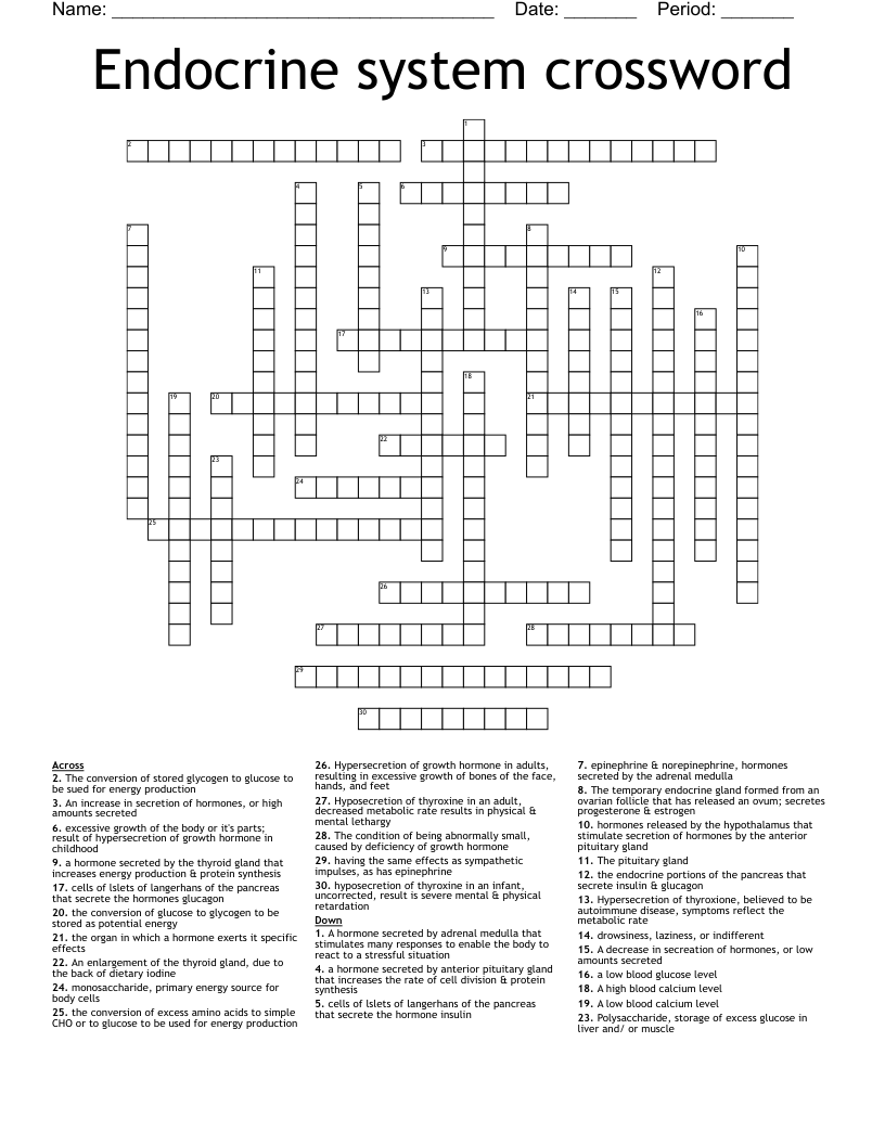 Endocrine system crossword