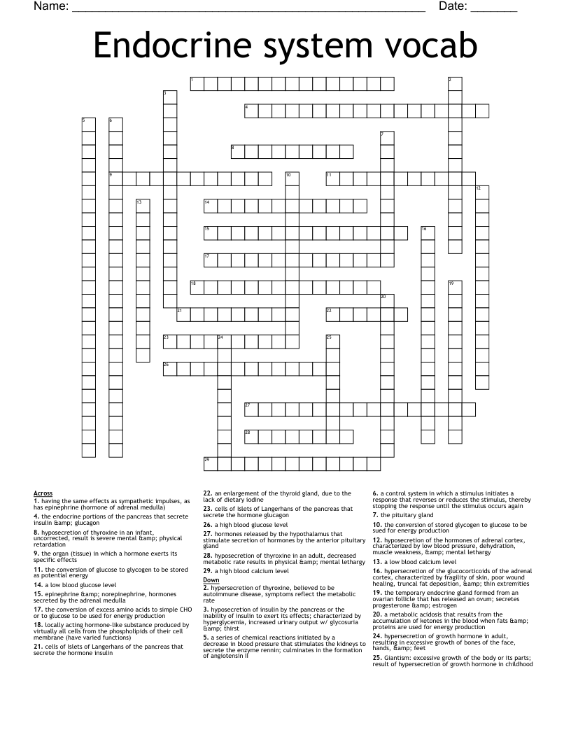 Endocrine system vocab Crossword