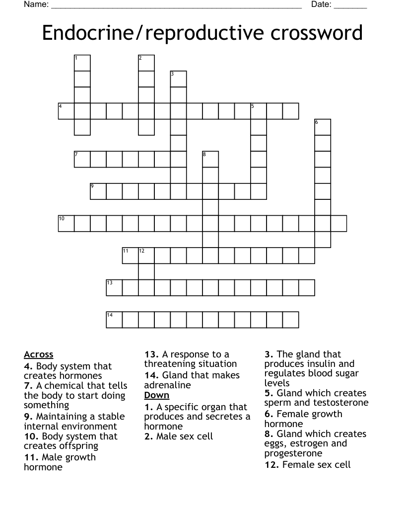 Endocrine/reproductive crossword