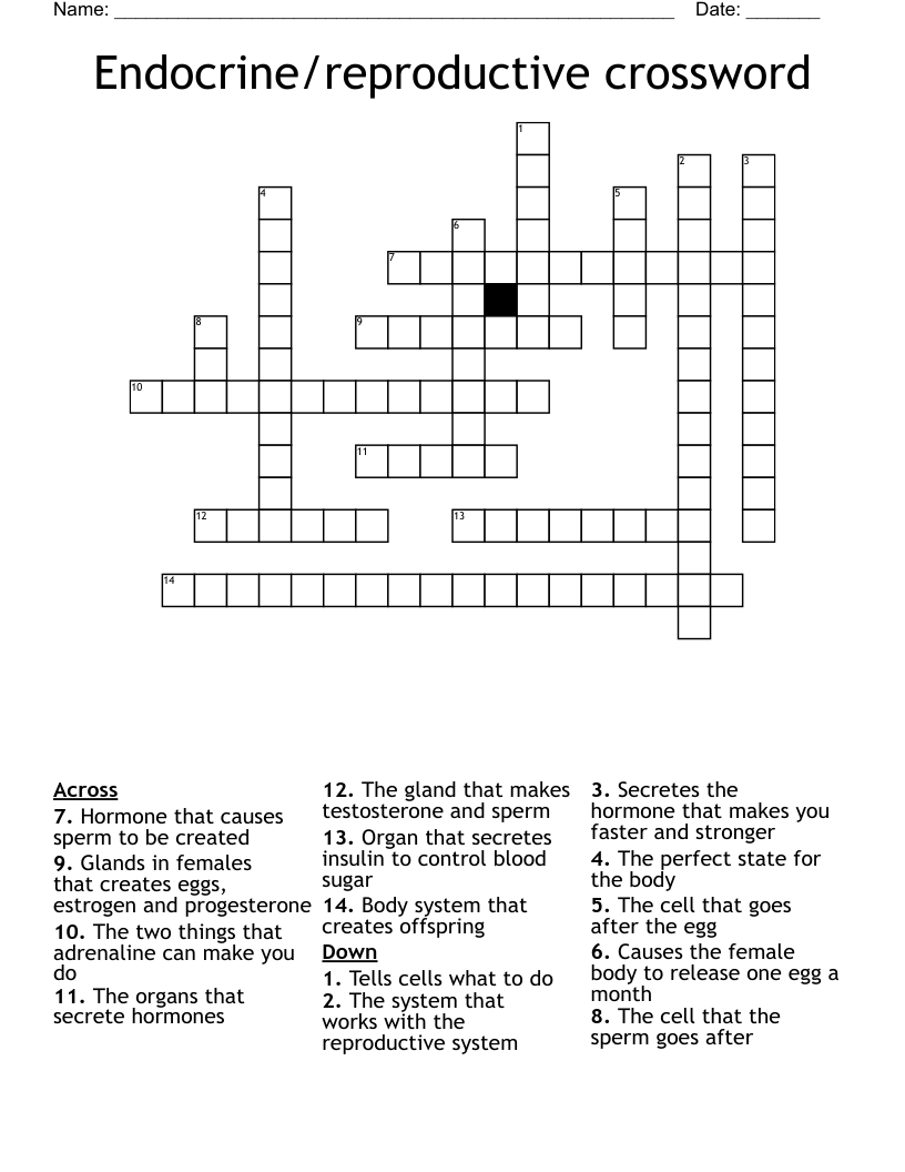 Endocrine/reproductive crossword