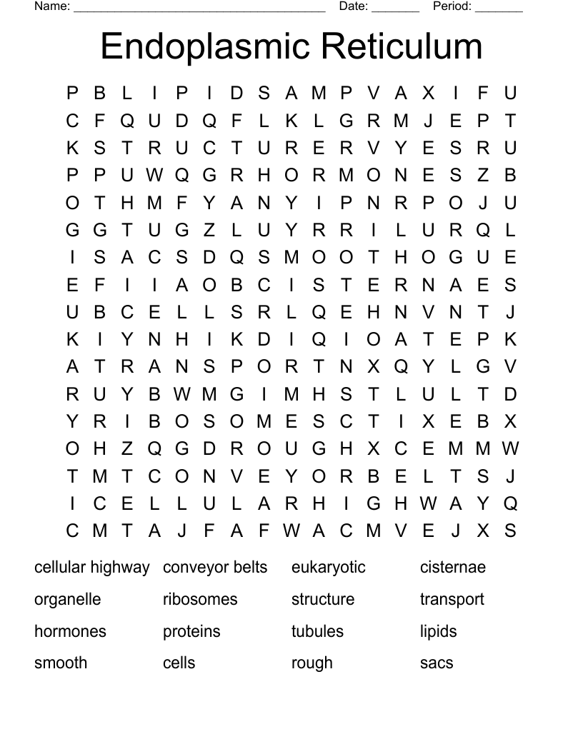 Endoplasmic Reticulum Word Search