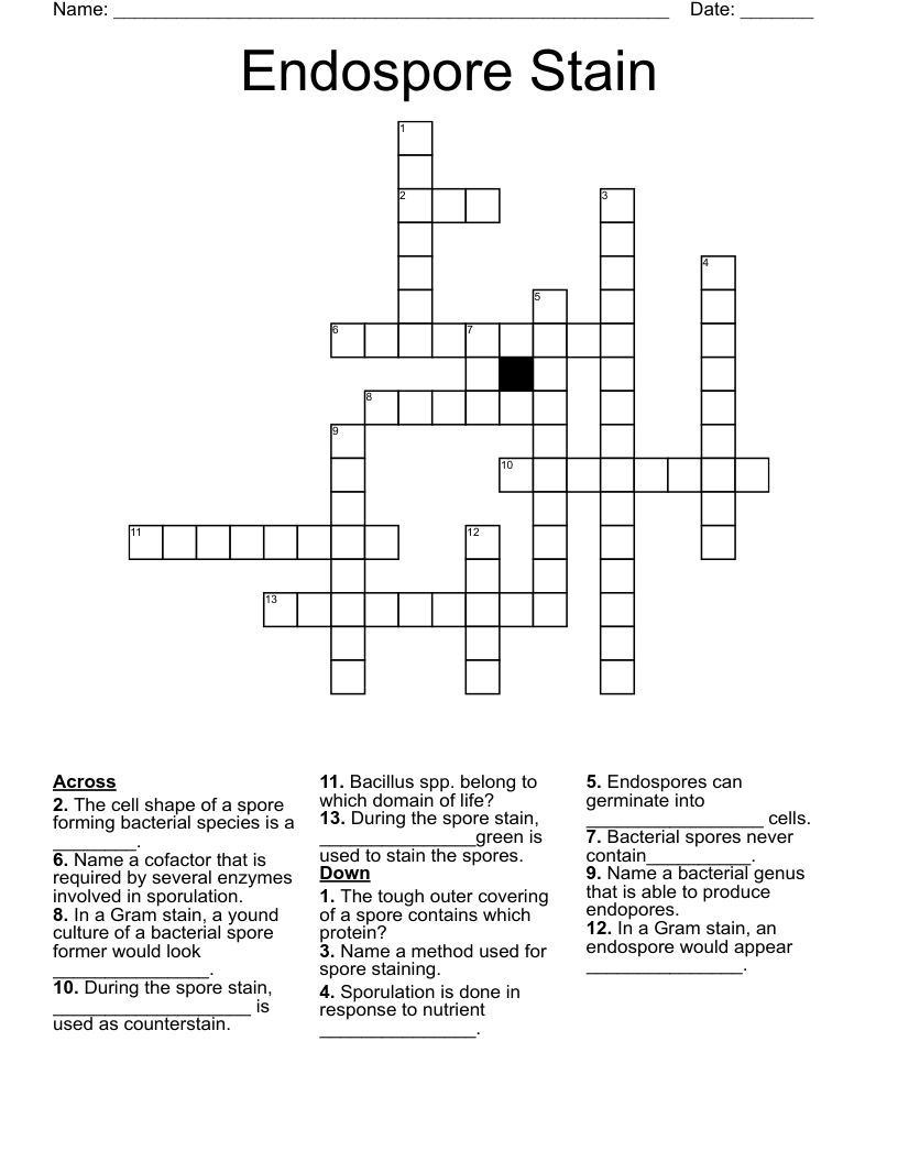 Endospore Stain Crossword