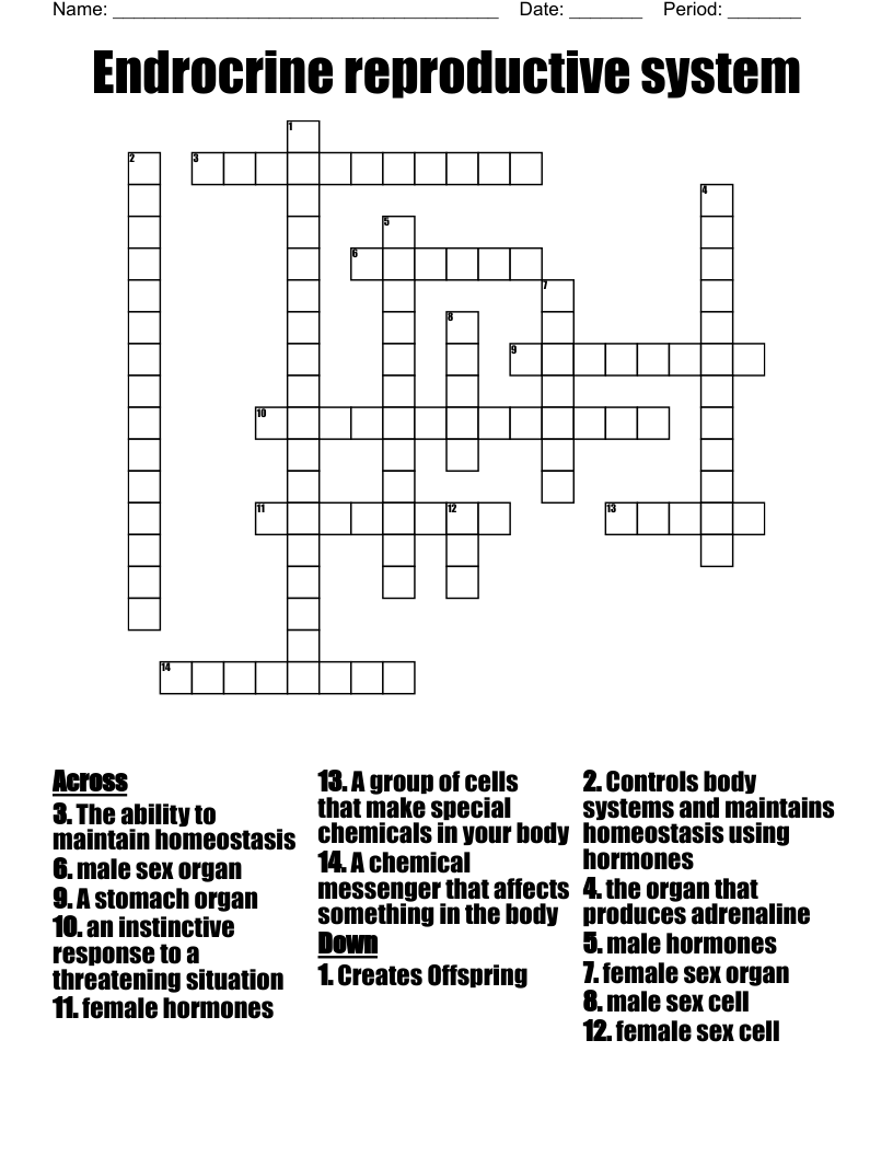 Endrocrine reproductive system Crossword