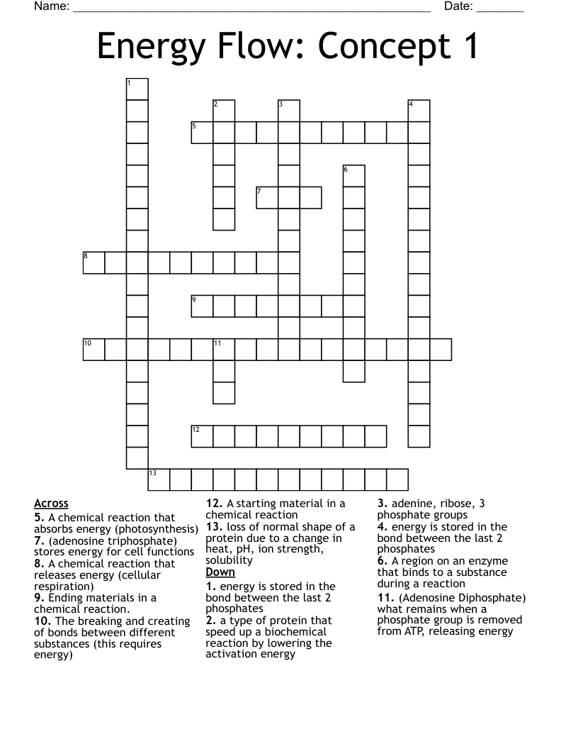 Energy Flow: Concept 1 Crossword
