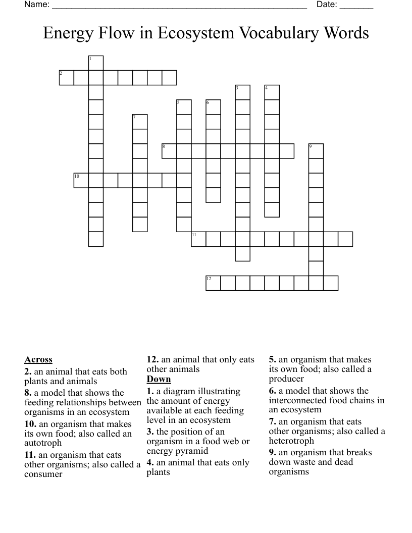 Energy Flow in Ecosystem Vocabulary Words Crossword