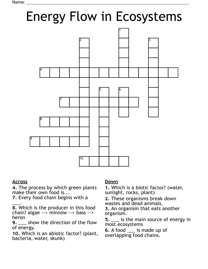 Energy Flow in Ecosystems Crossword