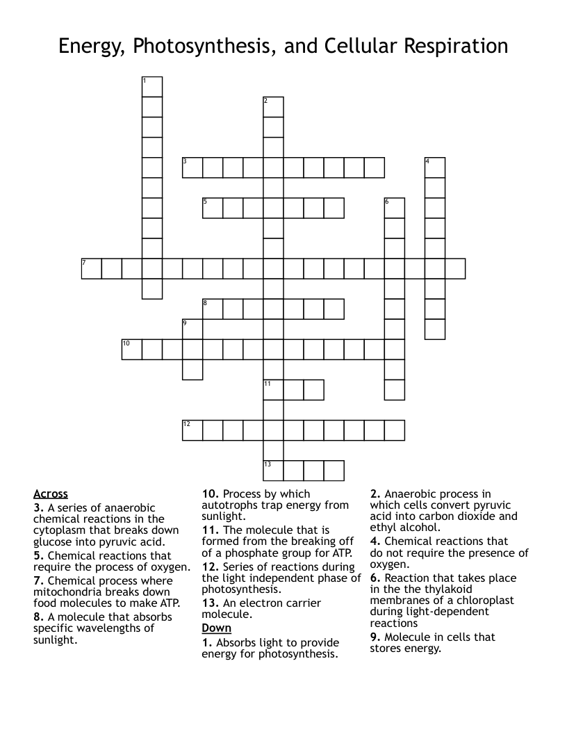 Energy, Photosynthesis, and Cellular Respiration Crossword
