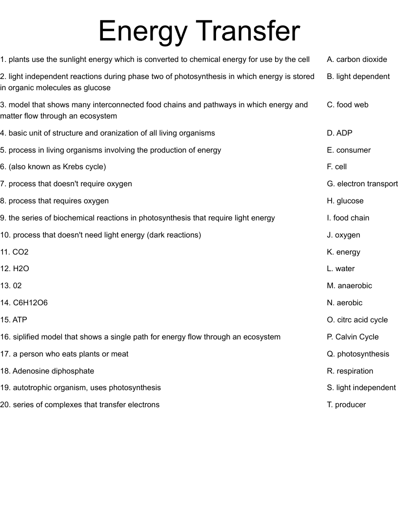 Energy Transfer Worksheet