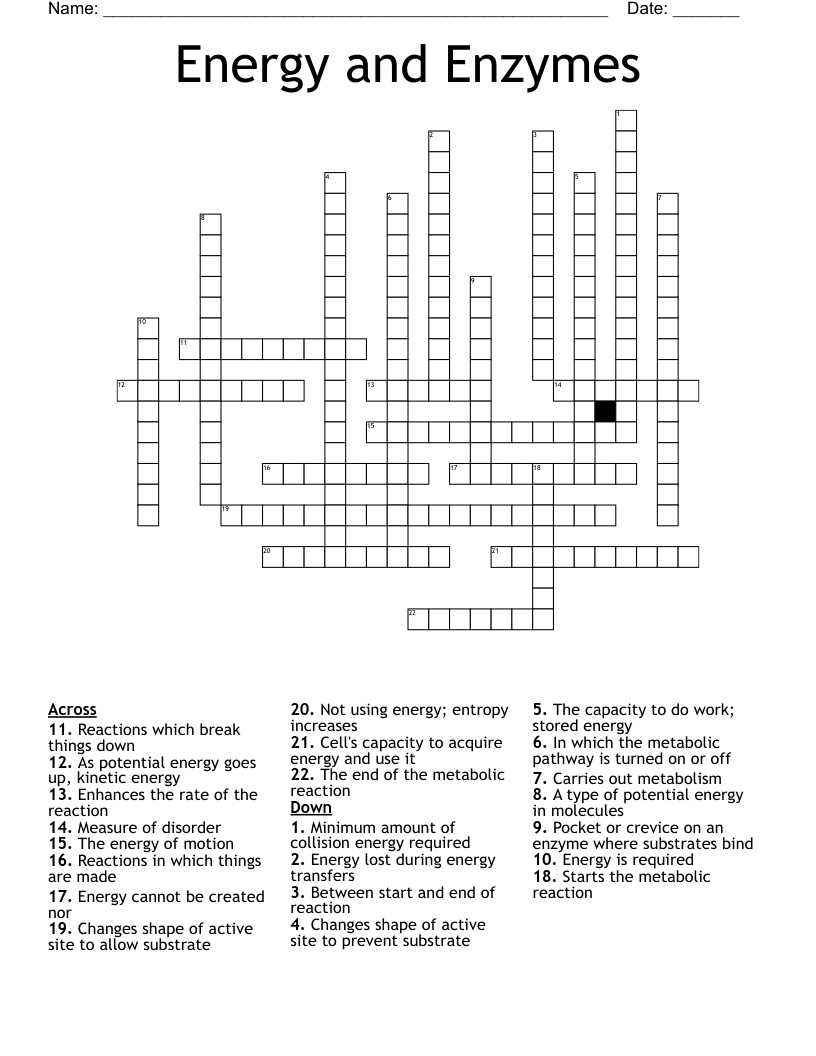 Energy and Enzymes Crossword