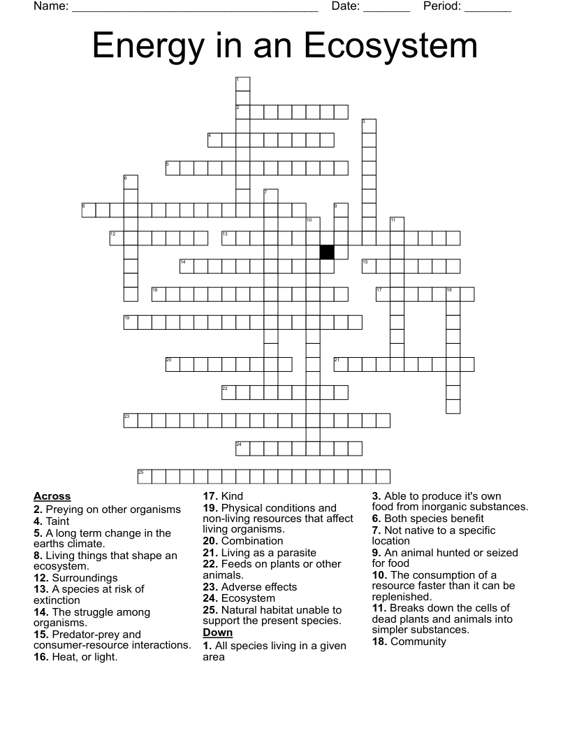 Energy in an Ecosystem Crossword