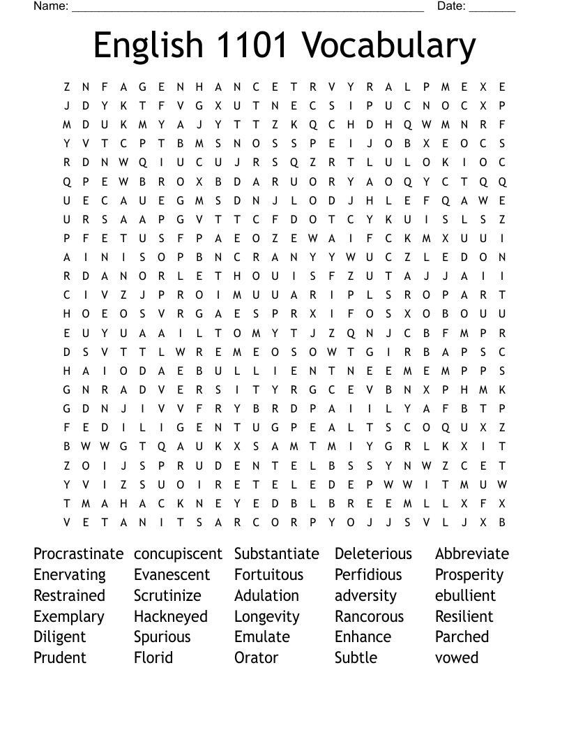 English 1101 Vocabulary Word Search