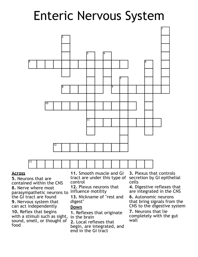 Enteric Nervous System Crossword