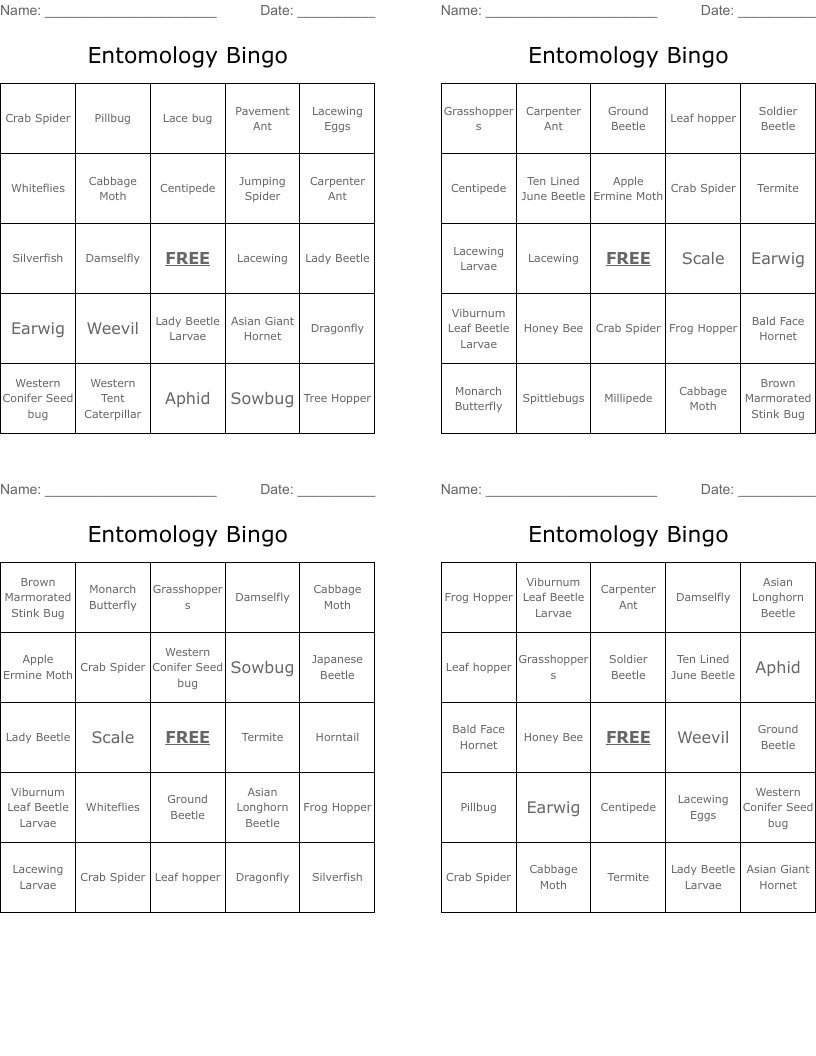Entomology Bingo