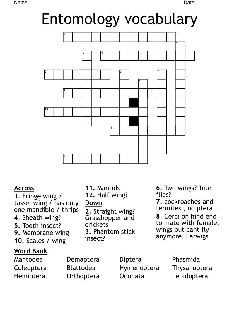 Entomology vocabulary  Crossword